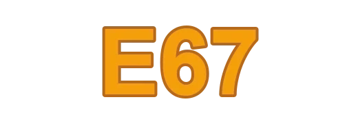 e67 Logo